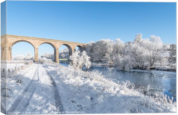 Roxburgh Viaduct over the river teviot in snow in the Scottsih Borders Canvas Print by Dave Collins