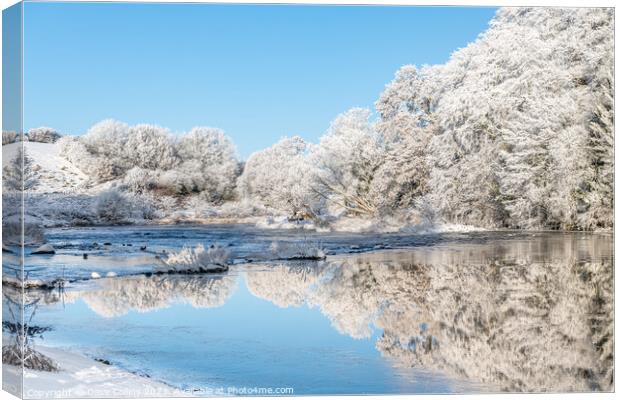 Ice and frost on trees reflected in the River Teviot Canvas Print by Dave Collins