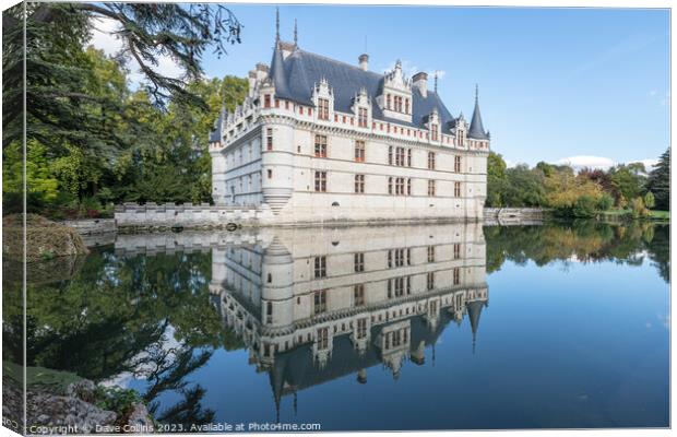 Reflections in the pond at Château d'Azay-le-Rideau Canvas Print by Dave Collins