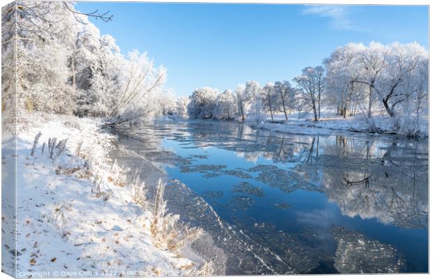 Outdoor Reflections of snow covered trees in the River Teviot, Scottish Borders, United Kingdom Canvas Print by Dave Collins