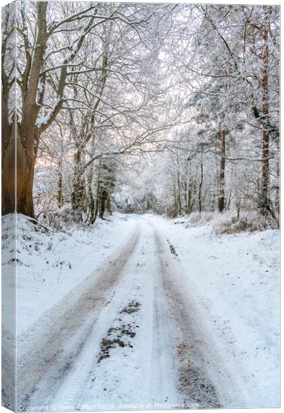 Snow covered lane in the Scottish Borders in the United Kingdom Canvas Print by Dave Collins