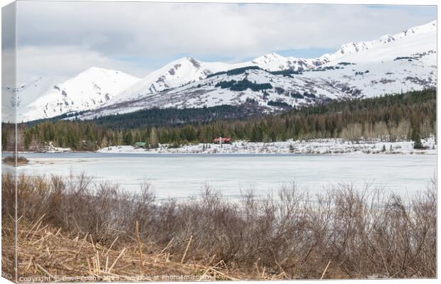 Frozen Lower Summit lake with lakeside cabins on the Kenai Peninsular, Alaska, USA Canvas Print by Dave Collins