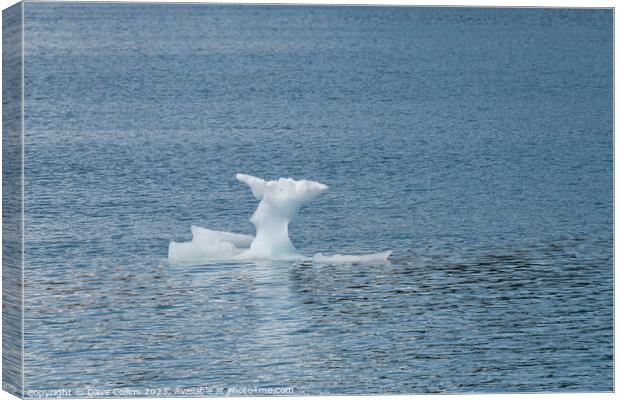 Strangley shaped growler (little iceberg) floating in College Fjord in Alaska, USA Canvas Print by Dave Collins