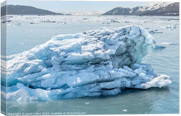 Strangley shaped growler (little iceberg) floating in College Fjord in Alaska, USA Canvas Print by Dave Collins