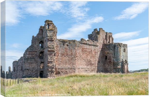 The remains of the north and west walls of Tantallon Castle, North Berwick, East Lothian, Scotland Canvas Print by Dave Collins