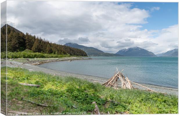 Beach in Chilkat State Park, Haines, Alaska, USA from Kelgaya Point Canvas Print by Dave Collins