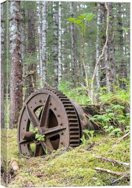 Abandoned Mining Machinery in woodland in William Henry Bay, Alaska, USA Canvas Print by Dave Collins