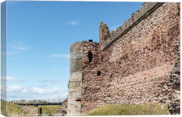 The remains of the west wall of Tantallon Castle, North Berwick, East Lothian, Scotland Canvas Print by Dave Collins