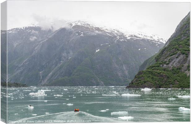 Small rib boat in ice and mist of the Tracy Arm Fjord, Alaska, USA Canvas Print by Dave Collins
