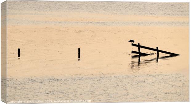 Silhouette of a bird on a fence during high tide in the Wash, England Canvas Print by Dave Collins