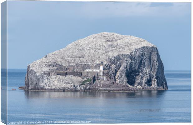 Bass Rock Lighthouse and Nature Reserve in the Firth of Forth, Bass Rock, Scotland Canvas Print by Dave Collins