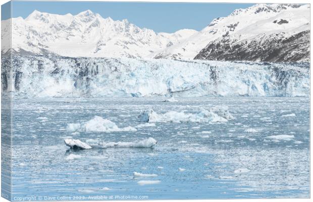 Growlers (small Icebergs) floating on the sea in front of Harvard Tidewater Glacier at the end of College Fjord, Alaska, USA Canvas Print by Dave Collins