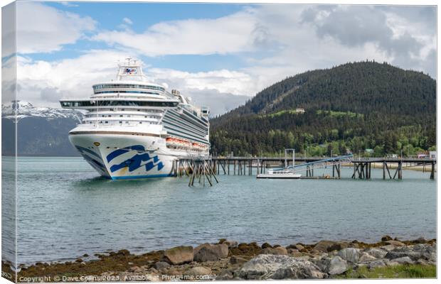 Princess Cruises ship Ruby Princess docked in the Chilkat inlet, Haines, Alaska, USA Canvas Print by Dave Collins