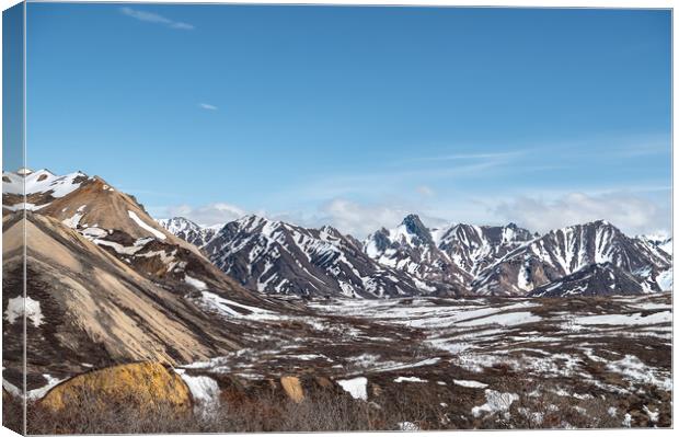 Partly snow covered tundra during spring in Denali National Park, Alaska, USA Canvas Print by Dave Collins