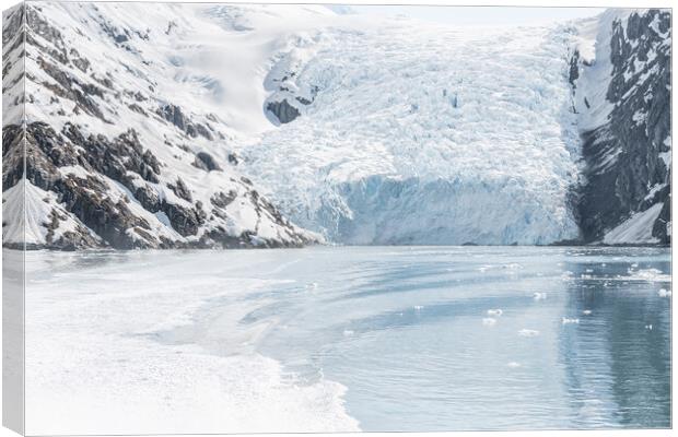 Beloit Tidewater Glacier in Blackstone Bay, Prince William Sound, Alaska, USA Canvas Print by Dave Collins