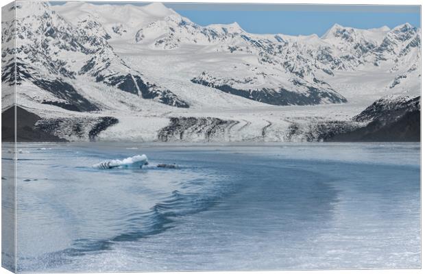 Harvard Tidewater Glacier at the end of College Fjord, Alaska, USA Canvas Print by Dave Collins