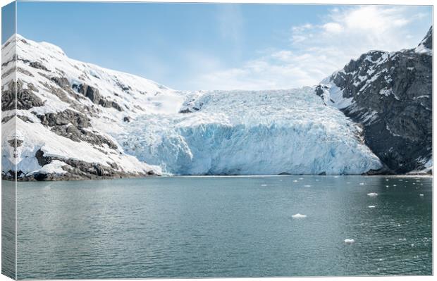 Beloit Tidewater Glacier in Blackstone Bay, Prince William Sound, Alaska, USA Canvas Print by Dave Collins