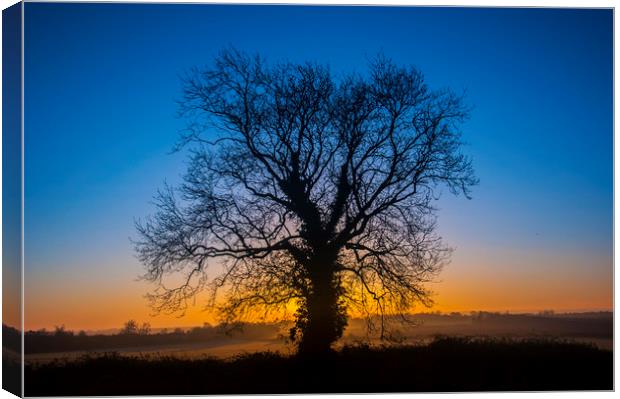 Sunrise Behind Tree Canvas Print by Dave Collins