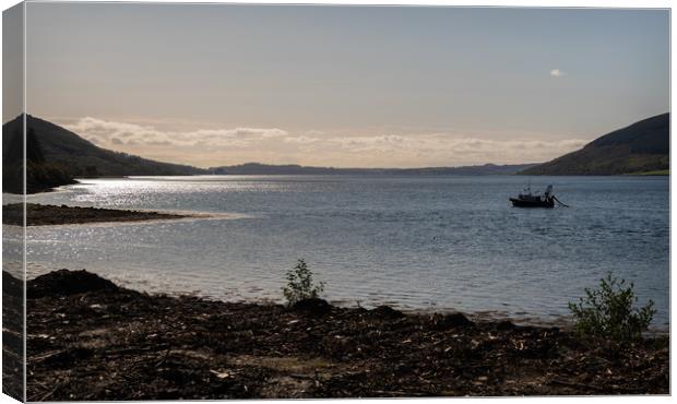 A fishing boat on Loch Striven, Argyll and Bute, S Canvas Print by Dave Collins