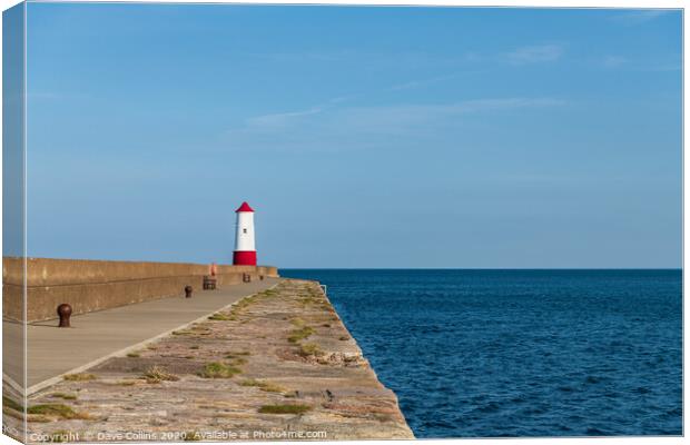 Harbour Entrance Light Tower, Berwick-Upon-Tweed  Canvas Print by Dave Collins