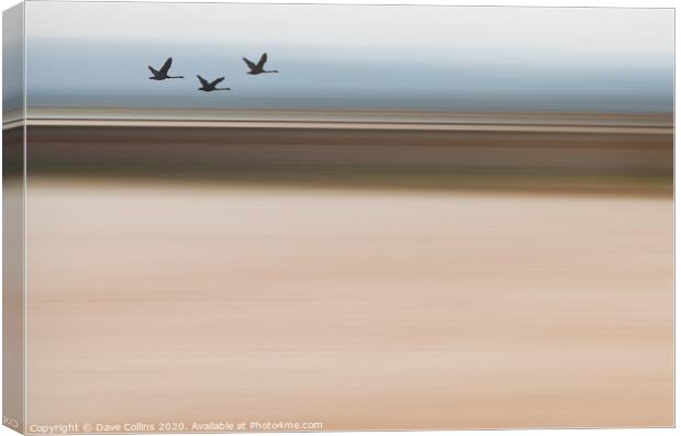 Silhouette Swans Flying - ICM Background Canvas Print by Dave Collins
