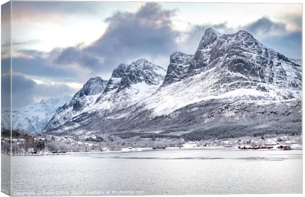 Winter in Norway Canvas Print by Dave Collins
