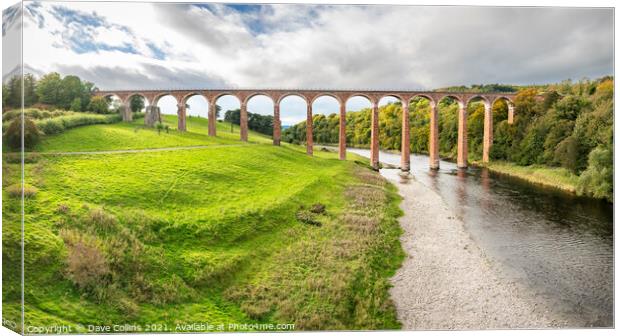 Leaderfoot Viaduct, Melrose, Scotland Canvas Print by Dave Collins