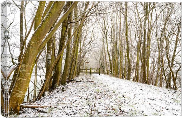 Snow Covered Footpath, Scottish Borders, United Kingdom Canvas Print by Dave Collins