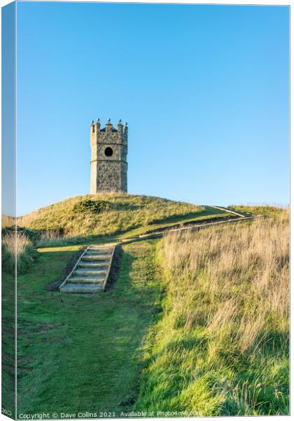 Mounthooly Doocot, Aberdeenshire, Scotland  Canvas Print by Dave Collins