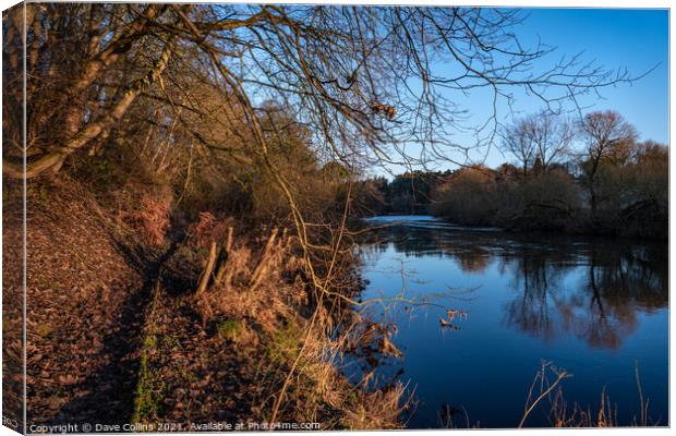Teviot River at dawn, Scottish Borders, UK Canvas Print by Dave Collins