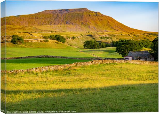 Ingleborough, Yorkshire Dales, England Canvas Print by Dave Collins