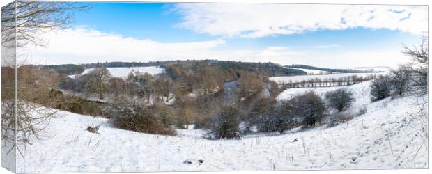 Panorama of Teviotvale in winter snow Canvas Print by Dave Collins