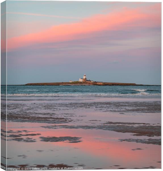 Coquet Island, Northumberland Canvas Print by Dave Collins