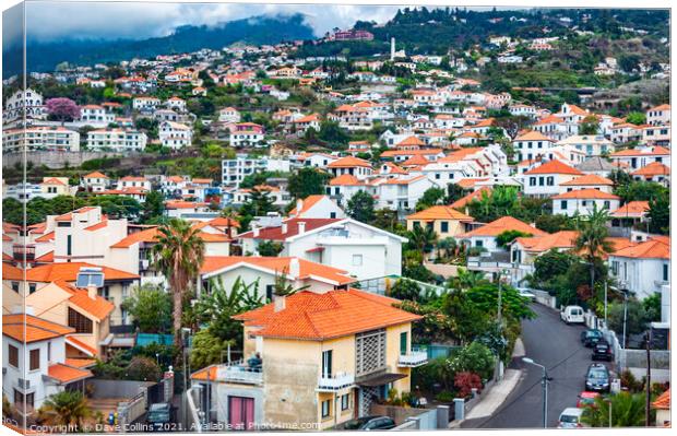 Buildings crowded together on the hills of Funchal in Madeira Canvas Print by Dave Collins