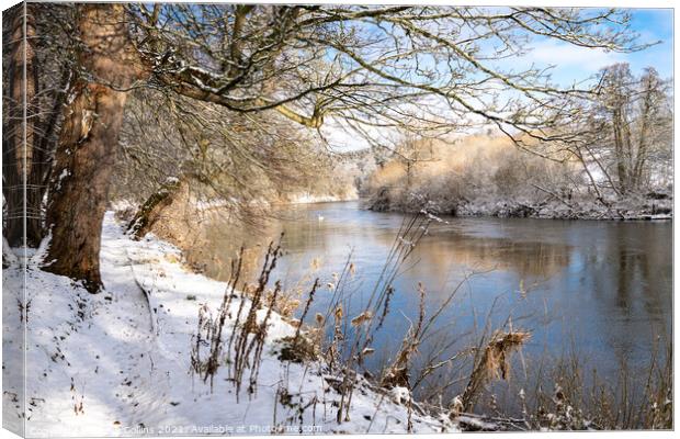 Teviot River and winter snow in the Scottish Borders Canvas Print by Dave Collins