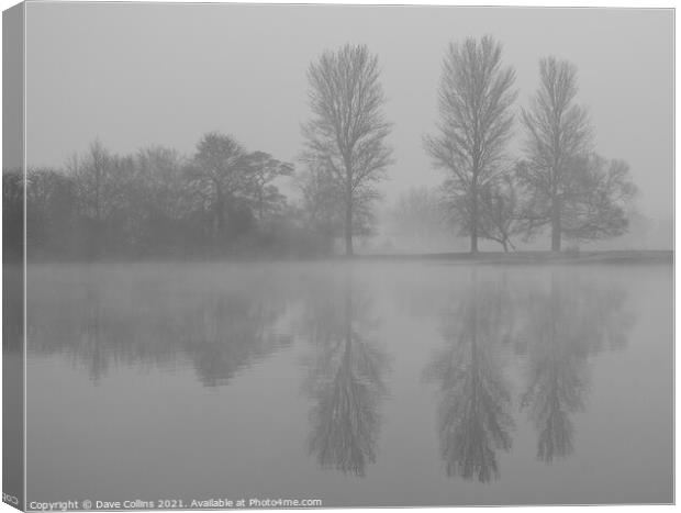Tree Reflections, Misty Morning Canvas Print by Dave Collins