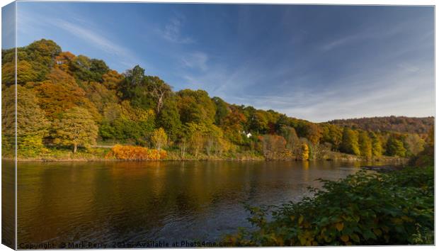 River Tay Birnam Canvas Print by Mark Perry