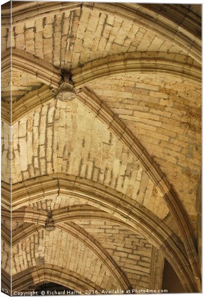Ceiling of Cloisters, Toledo Cathedral Canvas Print by Richard Harris