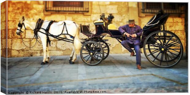 Horse and carriage, Cordoba, Spain Canvas Print by Richard Harris