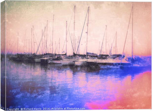 Boats moored in harbour Canvas Print by Richard Harris
