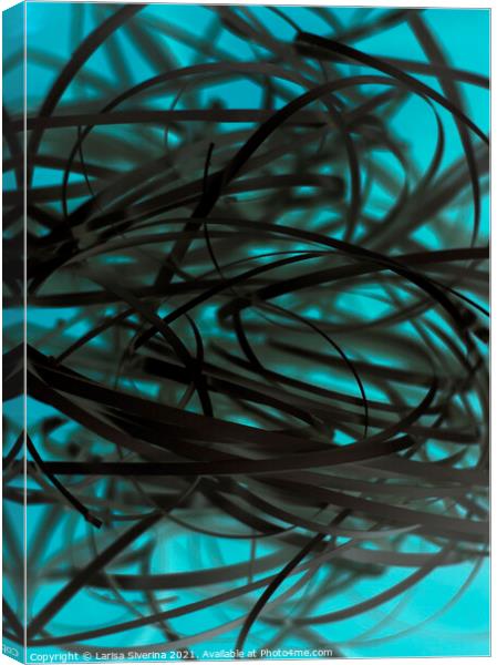 Abstract paper Canvas Print by Larisa Siverina
