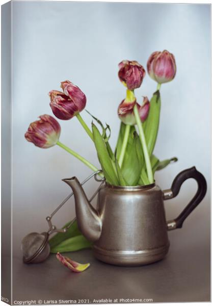 Tulips Still Life  Canvas Print by Larisa Siverina