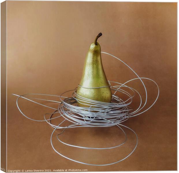 Gold pear Canvas Print by Larisa Siverina