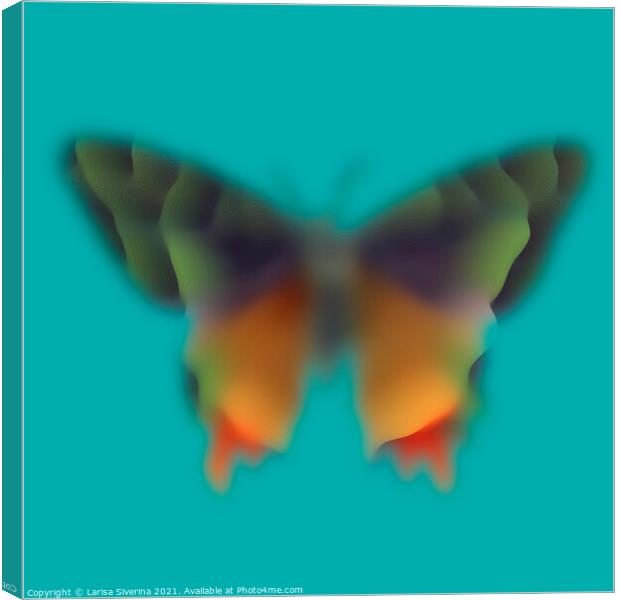 Blurred butterfly Canvas Print by Larisa Siverina