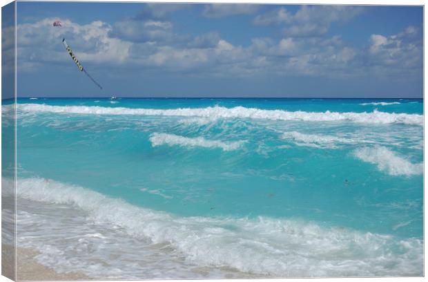 Summer day on a Carribean sea. Canvas Print by Larisa Siverina