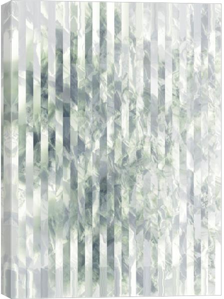 Abstract gray pattern Canvas Print by Larisa Siverina