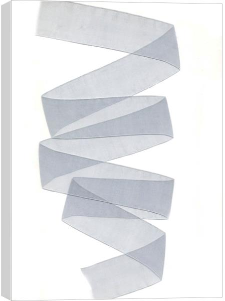 Nylon ribbon   Canvas Print by Larisa Siverina