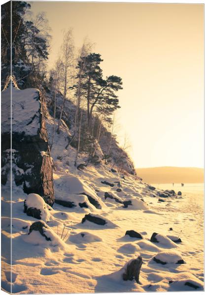 Winter frozen lake   Canvas Print by Larisa Siverina