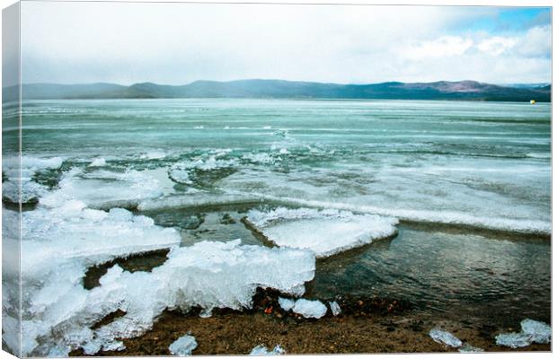 Spring mountain lake Canvas Print by Larisa Siverina