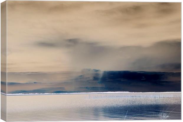 Thunderstorm on the lake Canvas Print by Larisa Siverina